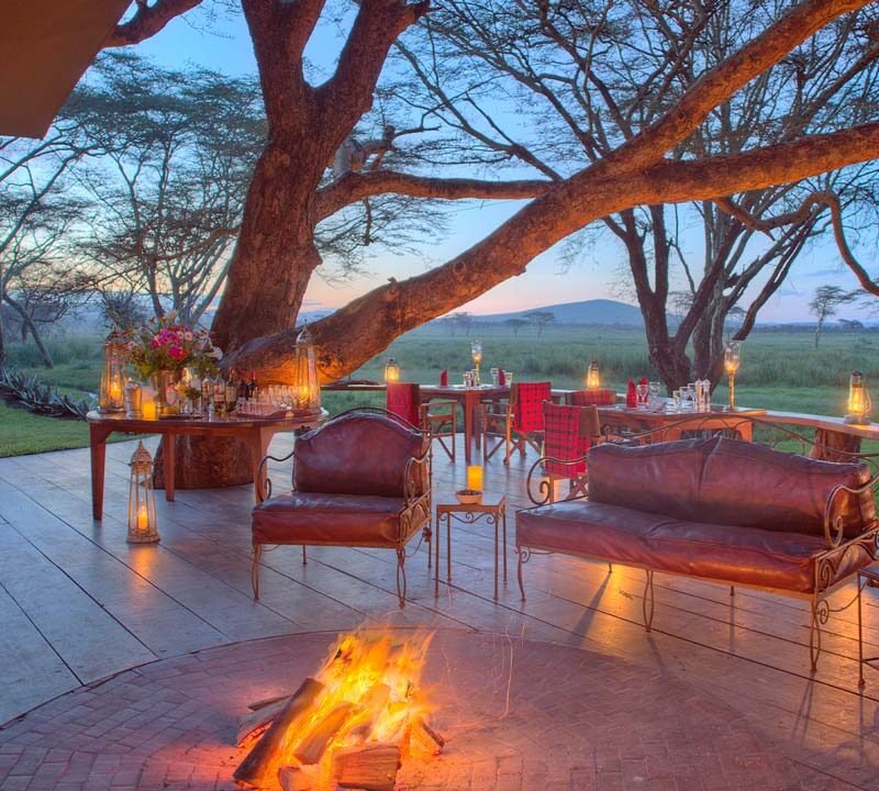 Luxury Safaris Lodge